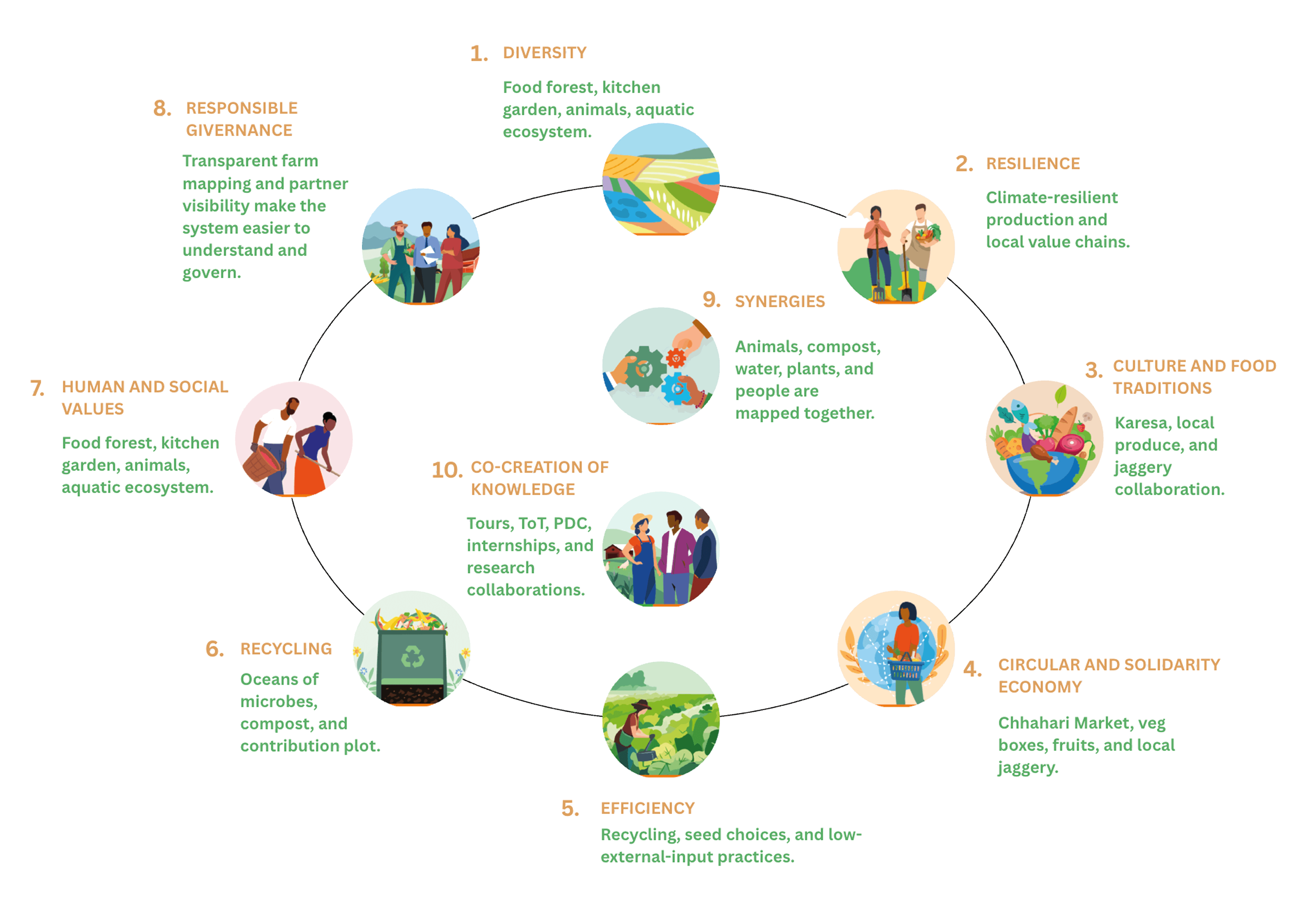 Diagram mapping the ten elements of agroecology to practices at Chhahari Farm