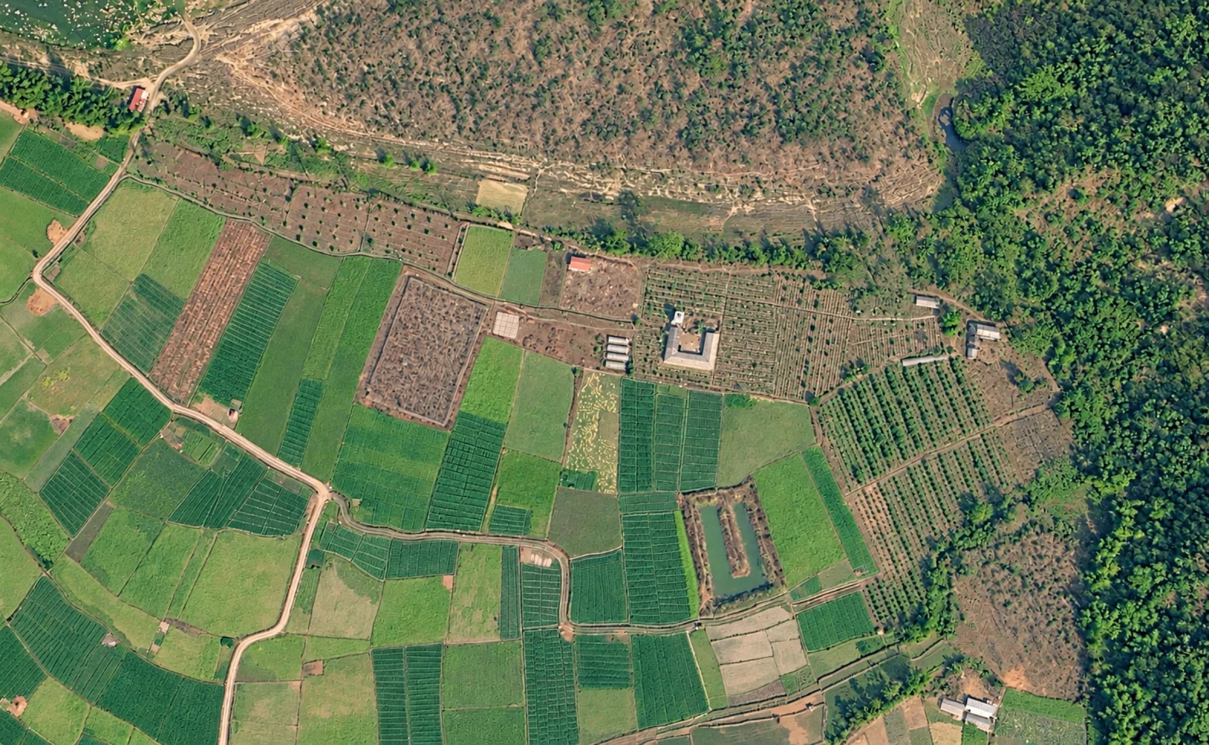 Illustrated aerial map of Chhahari Farm with traced plots, roadway, pavement, parking, and farm landmarks
