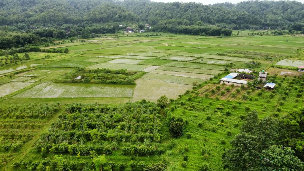 Aerial view of Chhahari Farm fields and surrounding greenery