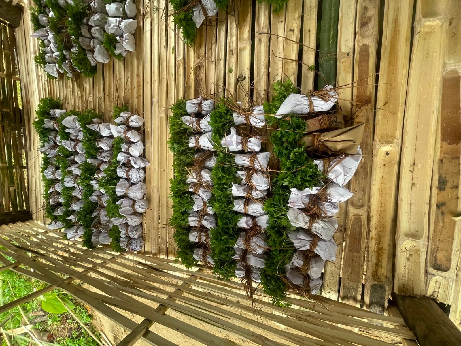 Paper-wrapped seedlings tied in bundles on a bamboo surface