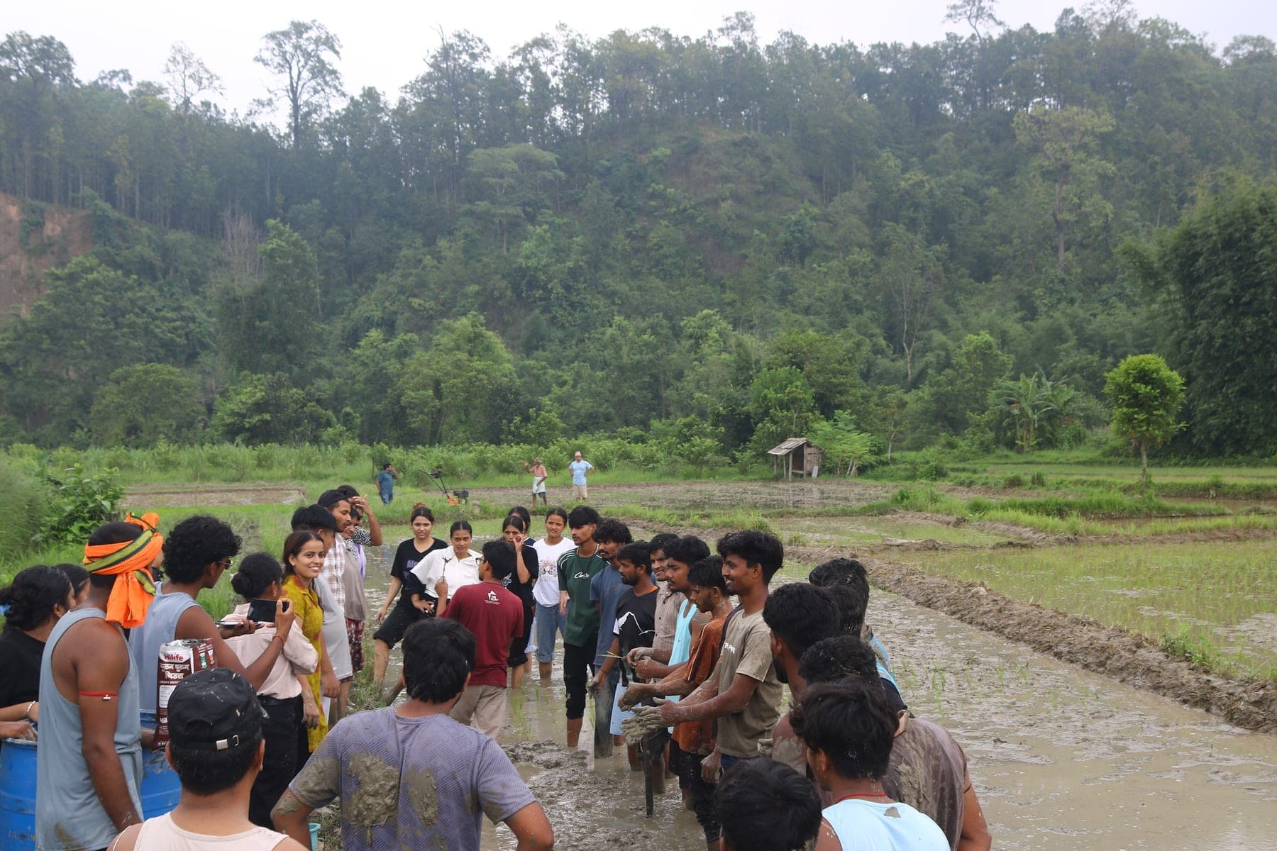 फार्म खेतमा सँगै सिकिरहेका मानिसहरू
