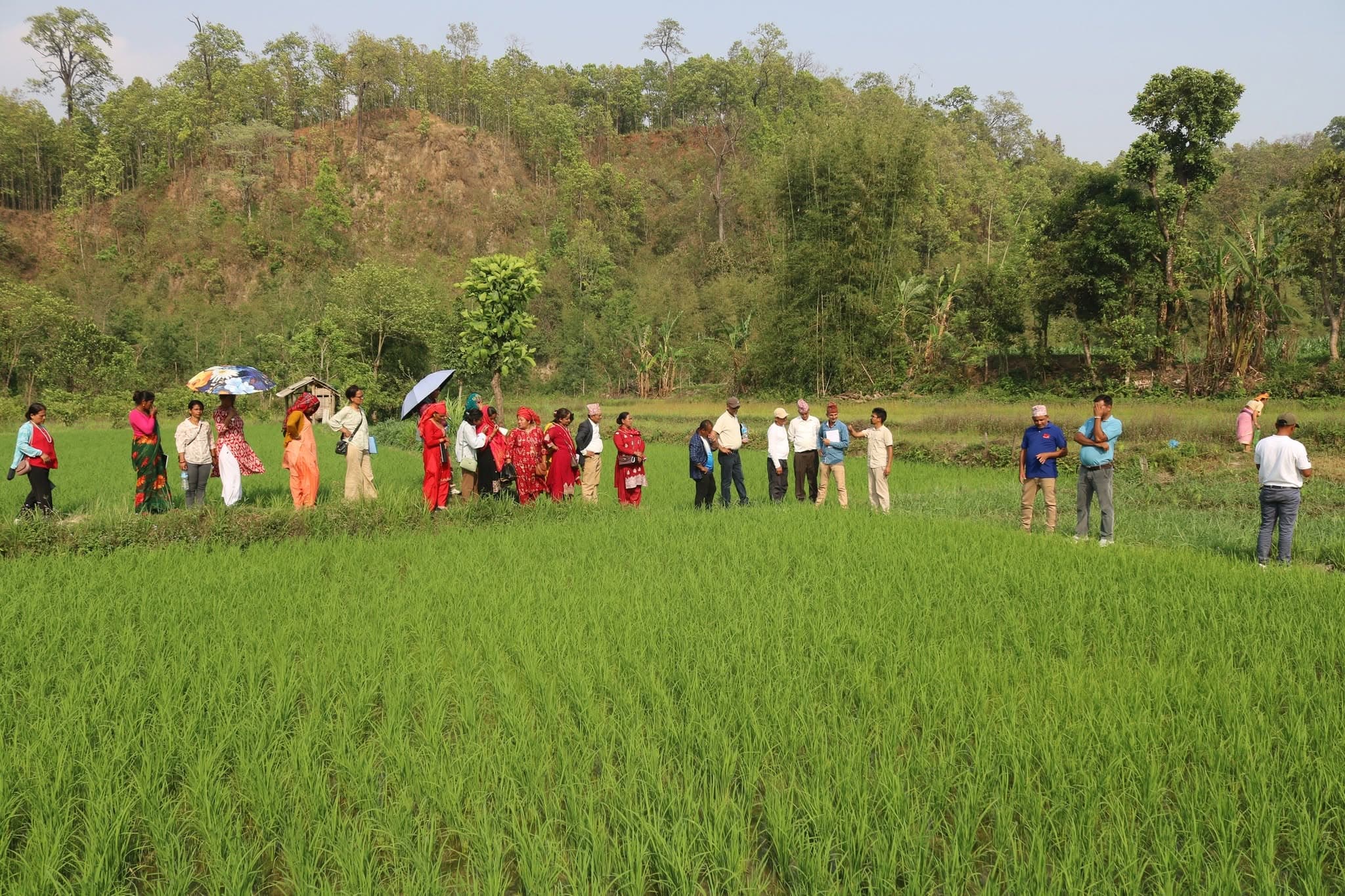 Guided Farm Tour